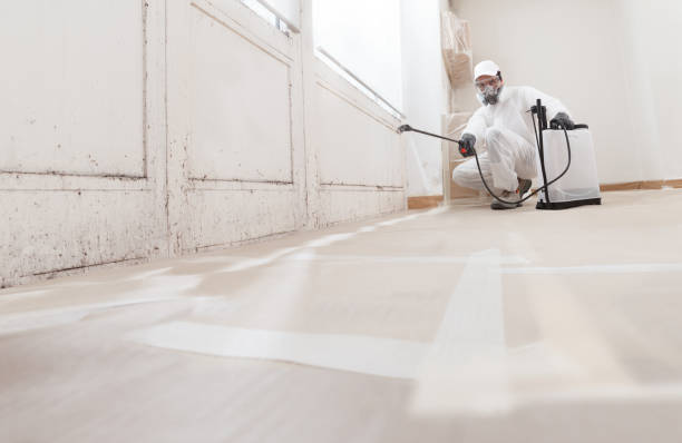 24/7 Emergency Black Mold Remediation experts in Raleigh, NC